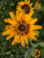 File_002.jpeg