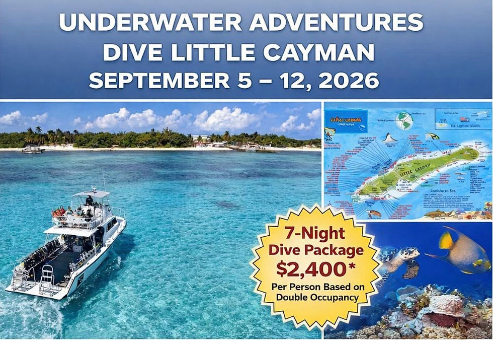 Dive Little Cayman September 5 - 12, 2026