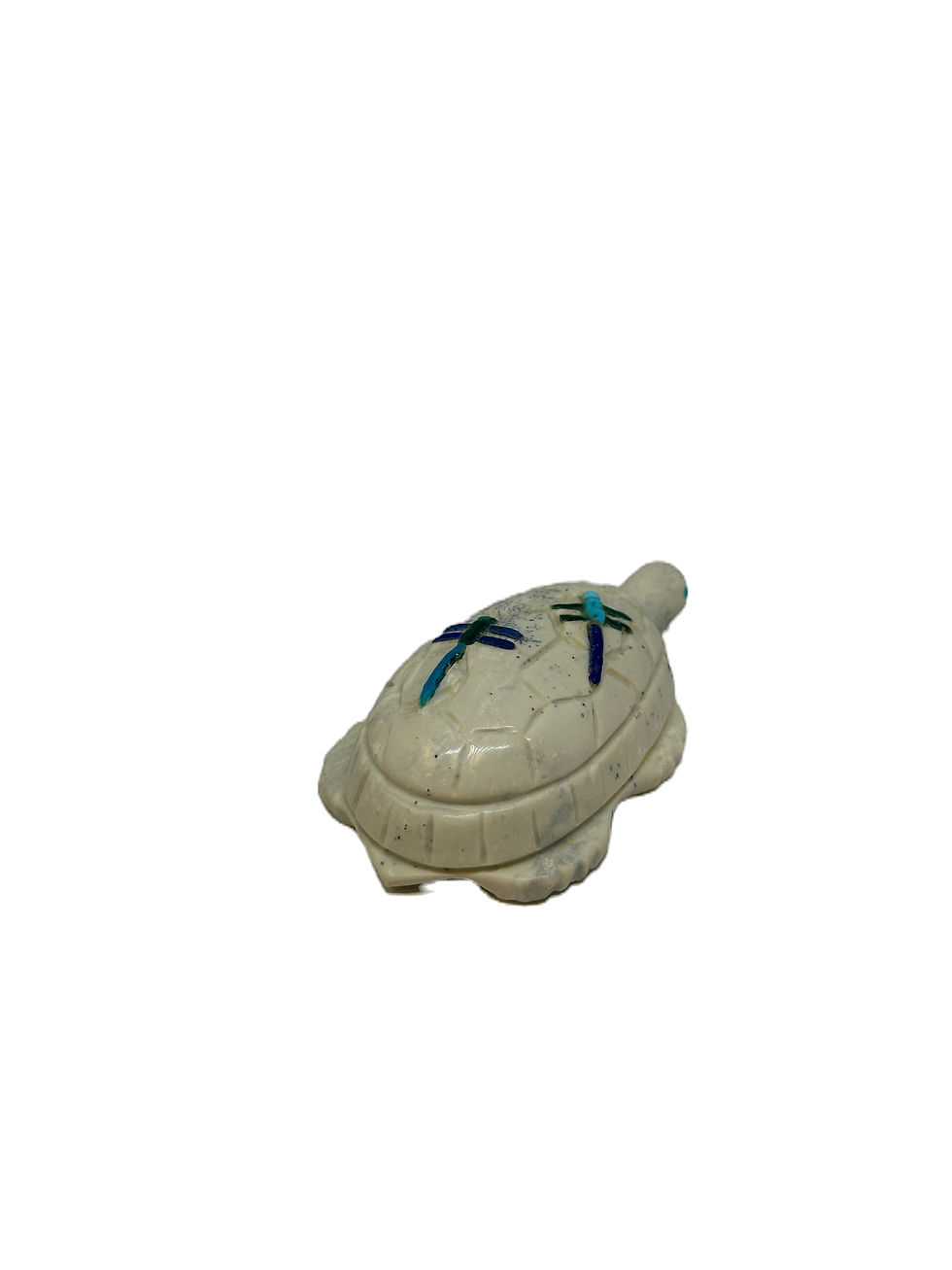 Thumbnail: Turtle w Dragonflies by Clissa Martin   #MBD3