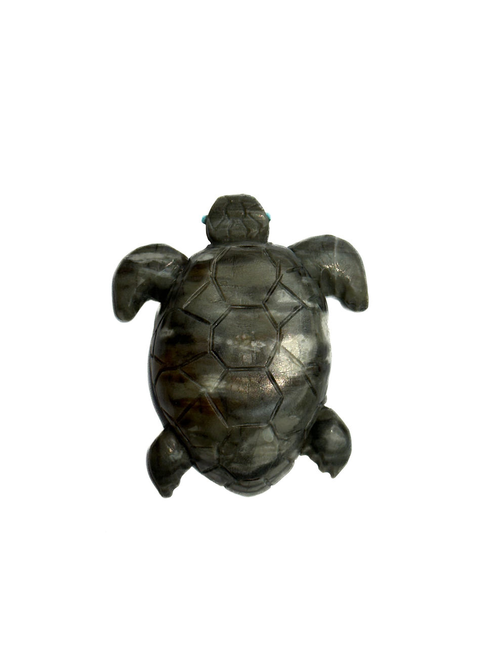 Thumbnail: Swimming turtle by Bernie Laselute  #BL78 