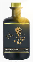 Alfons Vuur Zilver_edited_edited.jpg