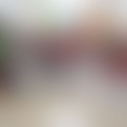 Mulheres na Agroecologia diante da COP e da Cúpula dos Povos: quando elas pisam, nasce resistência