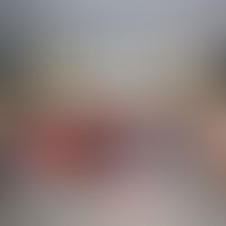 CNBB do Maranhão une-se à Campanha “Chega de Agrotóxicos” e torna-se uma forte Aliada na Defesa da Sociobiodiversidade do Cerrado Maranhense