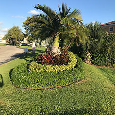 SRS Entrance Landscape.jpg