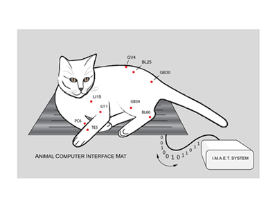 PetVibes is biofeedback for pets and animals and is offered at the Total Wellness Center