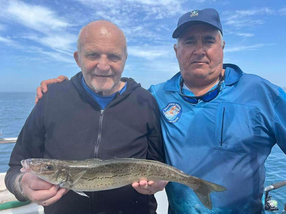 Whiting #2. Port Phillip or Western Port Bays. 9th & 10th January 027