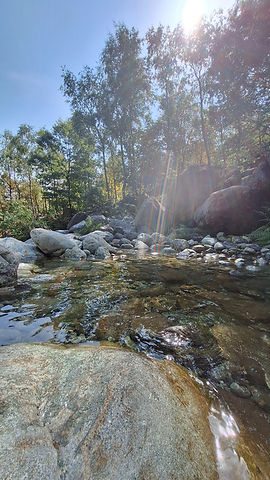 20250814_110454.jpg