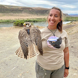 GPS “Big Data” Provides Boise State Scientist with Insight on Raptor Behavior and Their Ecosystems