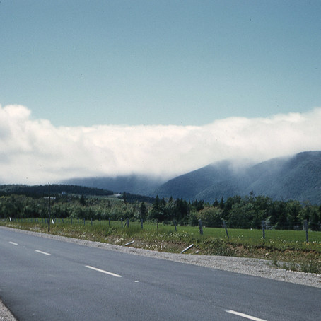 Counterfeit Memories: A Road Well Traveled