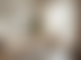 Choosing the Perfect Color Palettes for Your Home