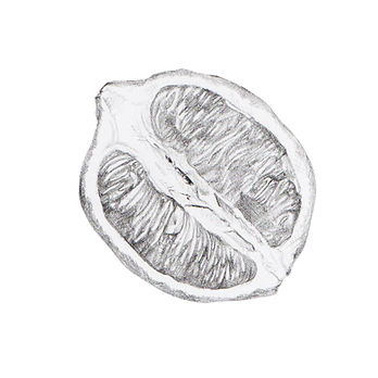 Lemon (1).png