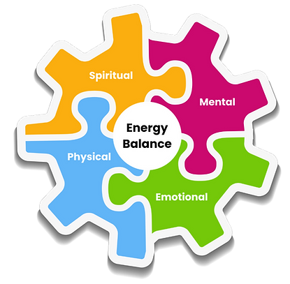 The Energy Reset Program icon.