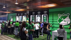 TIENDA VERDE DEPORTIVO CALI