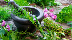 Amrith Ayurvedic Rehabilitation Center