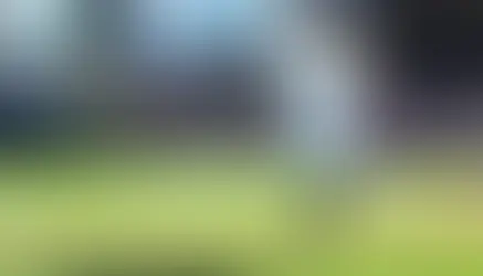 Peninsula Division Preview: The RDBL’s Iron Cage