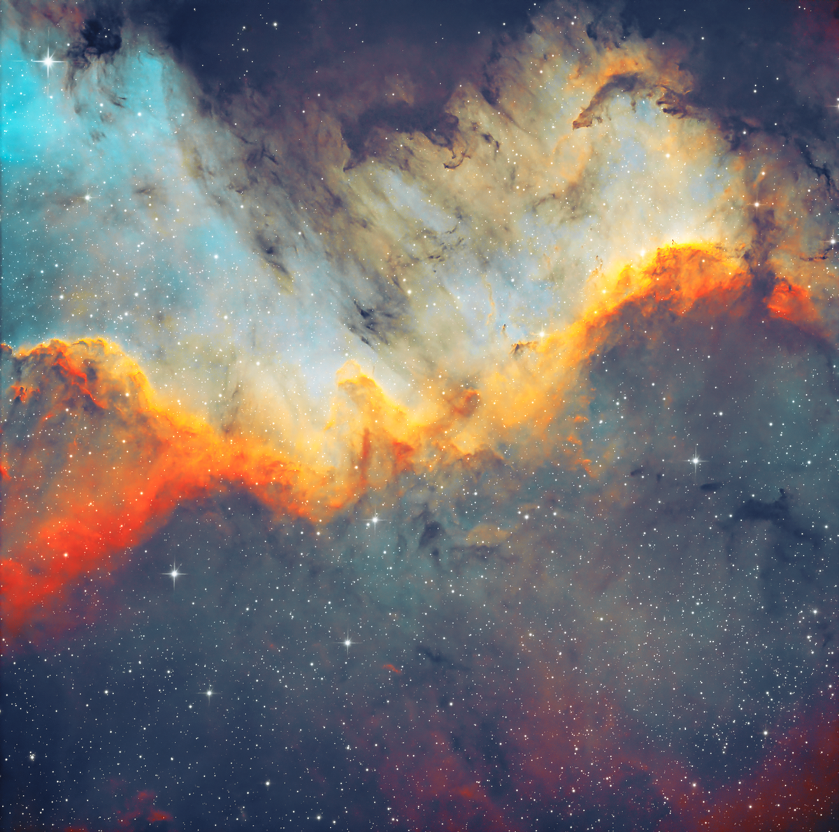 Andromeda Galaxy by Tom McCrorie