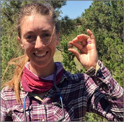 Writer: Sari B. Dersam