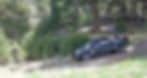 Vehicle Animal Human_edited.jpg