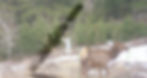 splash_edited.jpg