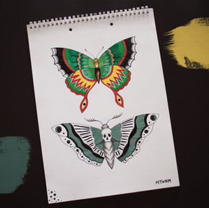 boceto dibujo mariposa estilo tatuaje tradicional