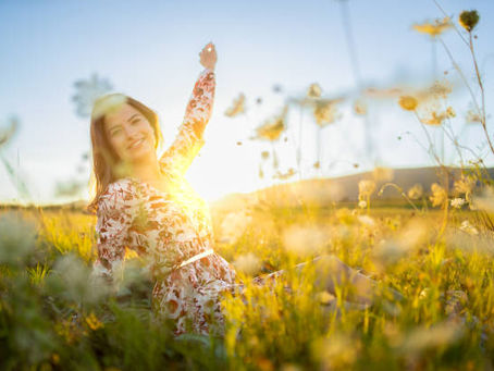spring flowers morning sunshine