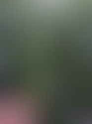 how to get bigger fruits ?