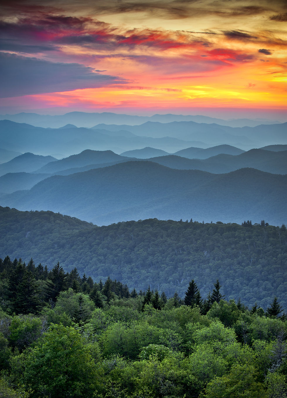 iStock-154232673.jpg