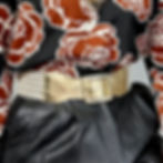 Thumbnail: Metallic Gold + White Vintage Belt