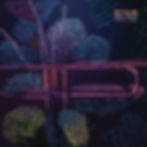 KIAM ARTCOVER JAZZ