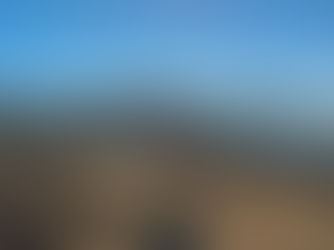 Over 1,100 Runners Conquer the Catalina Island Half Marathon & 10K