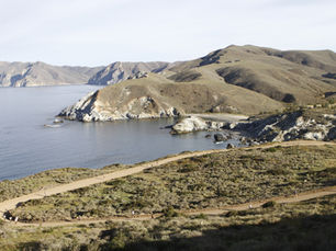 Hi-Tec Catalina Island Marathon Sells Out in Record Time Ahead of 48th Anniversary