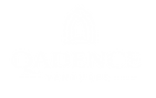 QADENCE VENTURES White Vertical Logo (Transparent).png