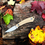 Thumbnail: Wood Duck bird and trout knife