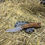 Thumbnail: Bird Dog bird and trout knife