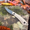 Thumbnail: Bird Dog bird and trout knife