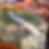 Thumbnail: Bird Dog bird and trout knife