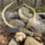 Thumbnail: Wolfhound Skinner with horns