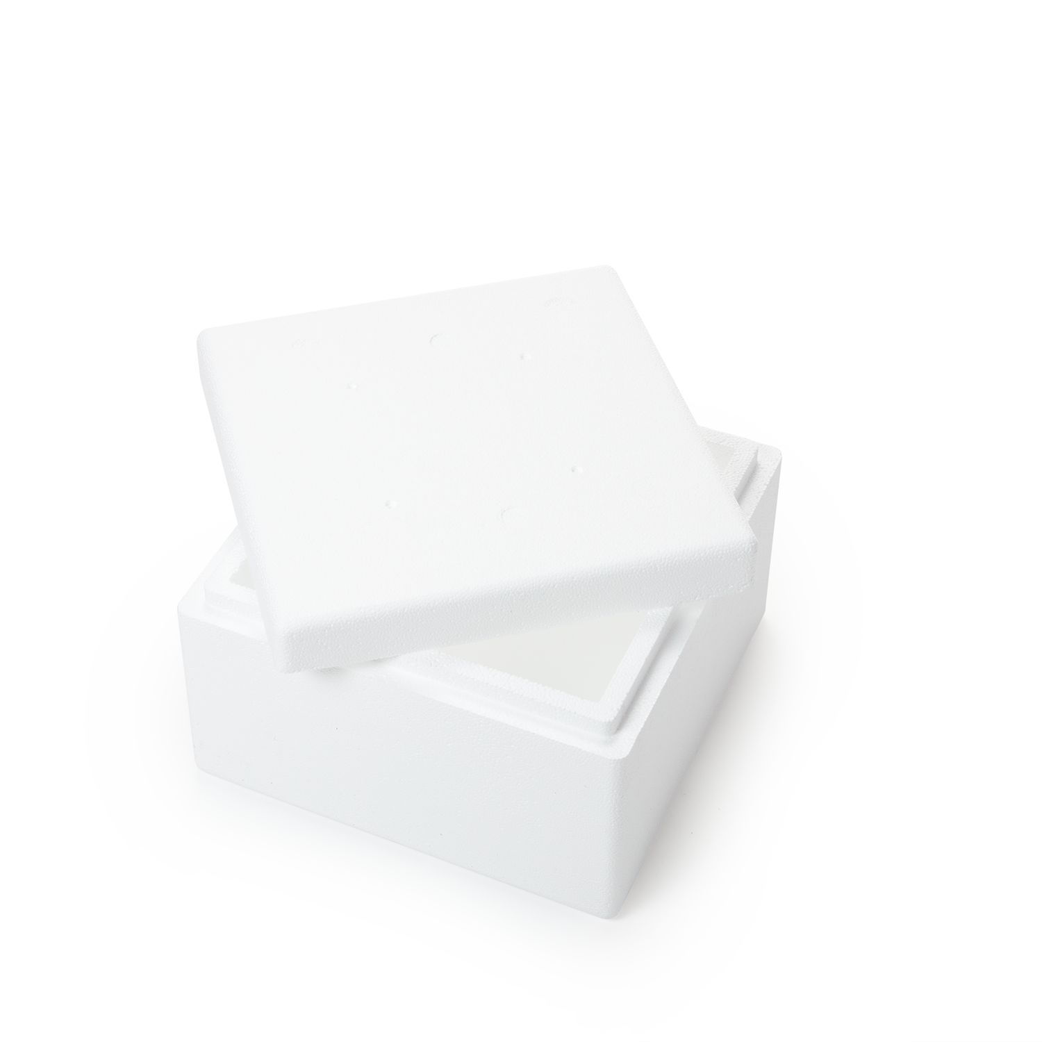 Styropor Kiste für Nutzlast - Groß