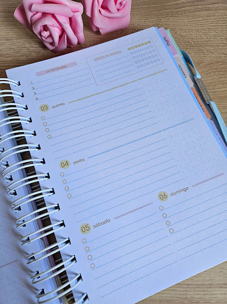 Miniatura: Planner Sonhos