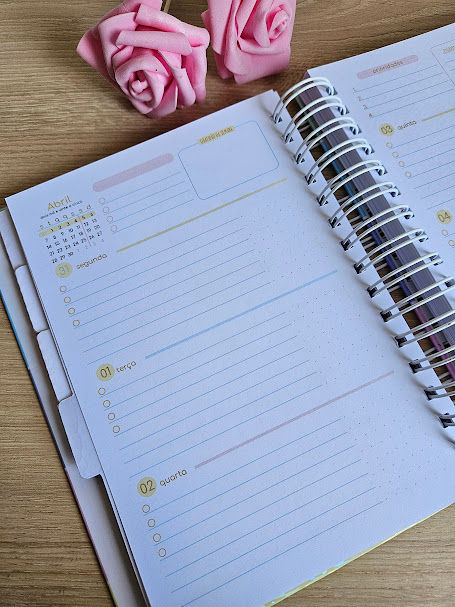Miniatura: Planner Sonhos