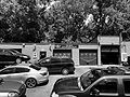 IMG_1004.jpg