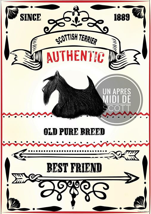 Miniature : plaque vintage