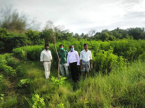 veterinary doctor farm visit in Thalainayar Aquaculture private limited (TAPL), goat farm and super napier grass co4 farm