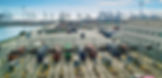 3 (1)_edited_edited.jpg