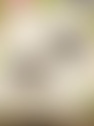 4반 글쓰기 사진