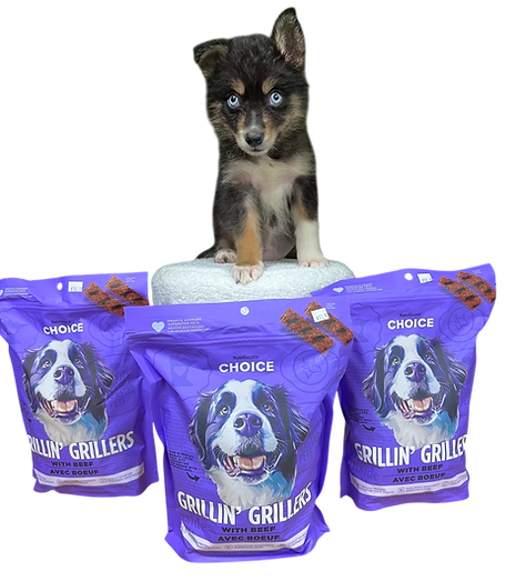 CHOICE_DOG_FOOD_PET_SUPPLIES_CUTE_DOG.png
