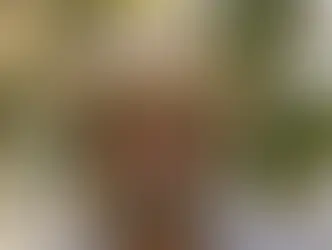 Actor T.K. Carter Has Passed Away at 69, Leaving a Lasting Film and Television Legacy