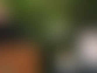 Days of Our Lives Weekly Recap 6-9