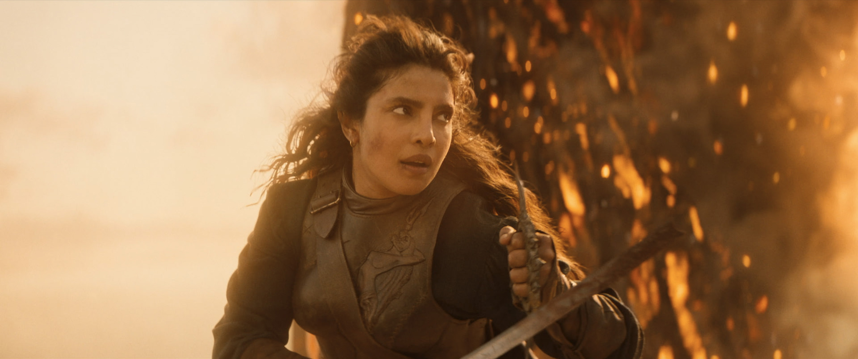 Woman in armor holding a sword, surrounded by fiery sparks, looks determined. Background is ablaze, casting an intense orange glow.