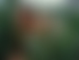 Jurassic World Rebirth Review: Finally, the Dinosaurs Are the Main Characters Again